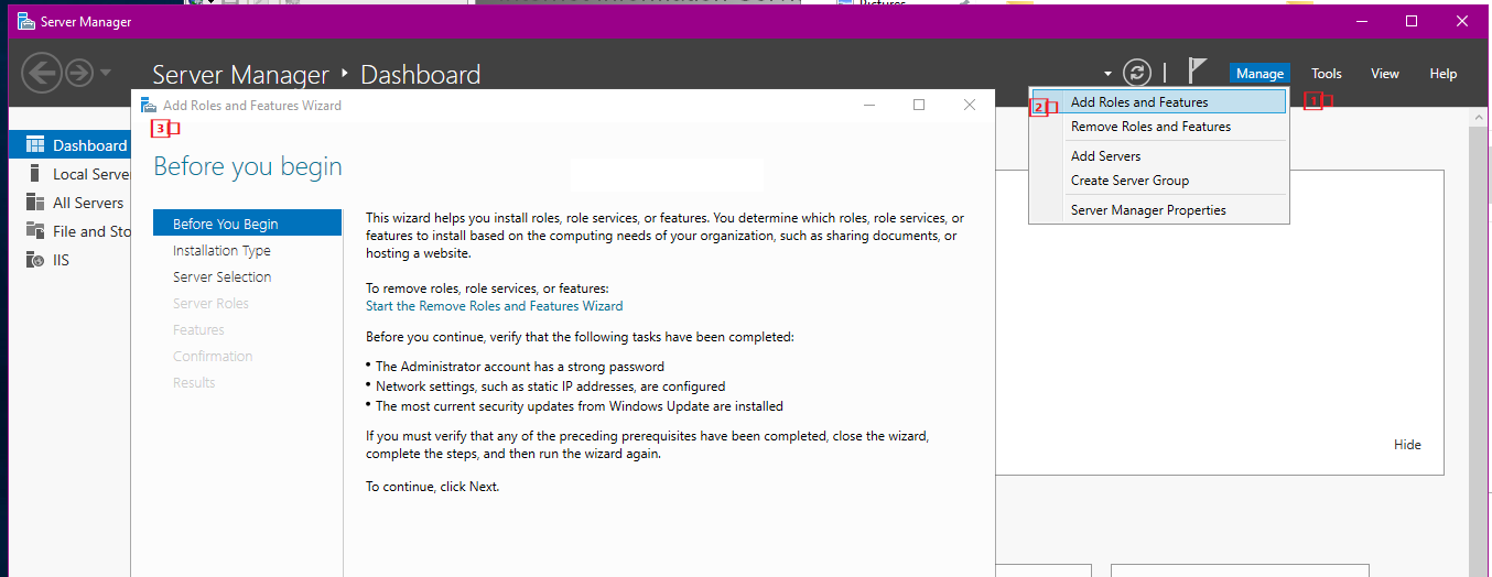 Opening Server Manager and Adding Roles or Features